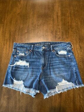 American Eagle Outfitters Distressed Blue Denim Jean Shorts